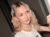FelicaTapper videos